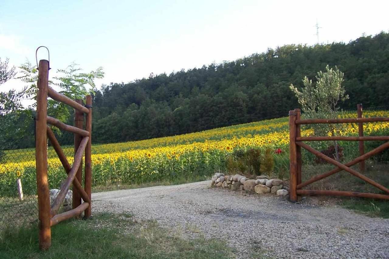 Appartamenti Con Cucina Nelle Colline Toscane 앙기아리 외부 사진
