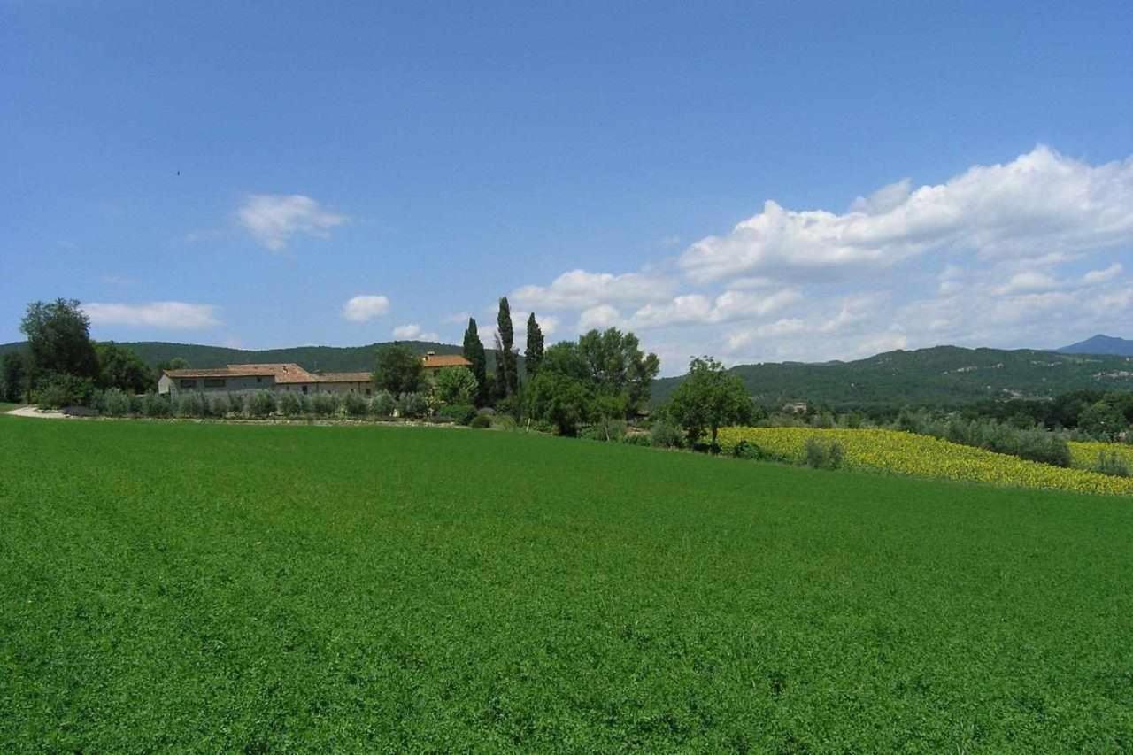 Appartamenti Con Cucina Nelle Colline Toscane 앙기아리 외부 사진