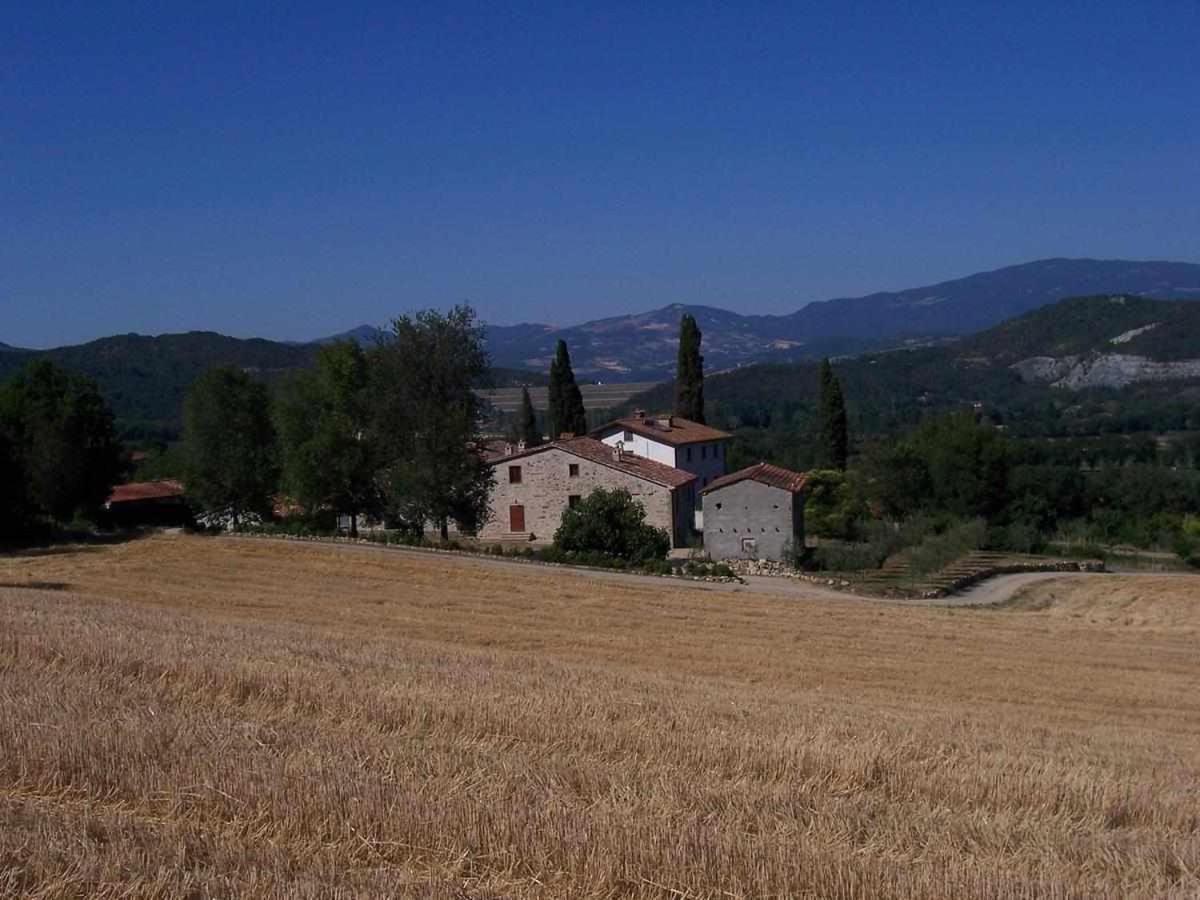 Appartamenti Con Cucina Nelle Colline Toscane 앙기아리 외부 사진