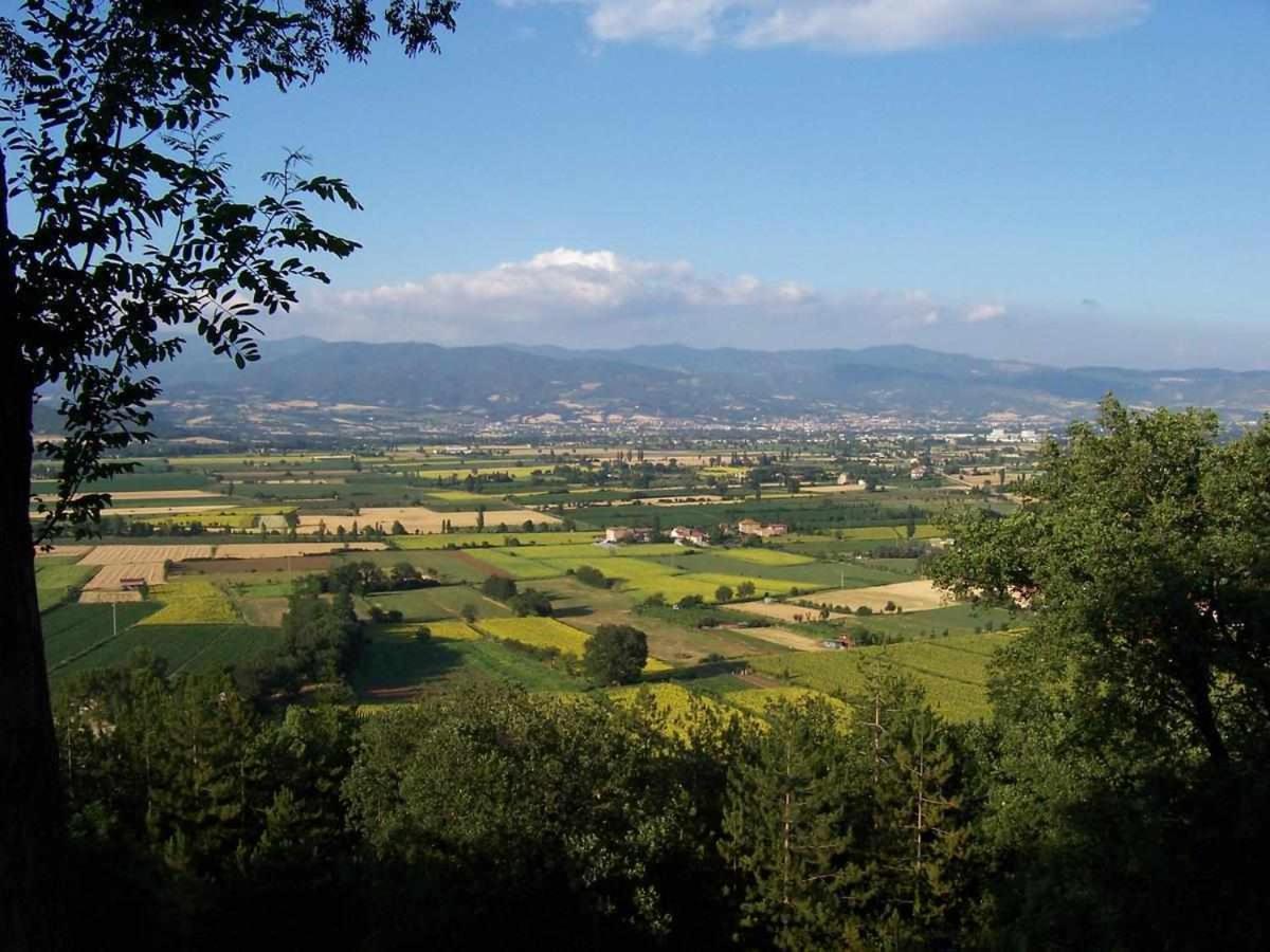 Appartamenti Con Cucina Nelle Colline Toscane 앙기아리 외부 사진